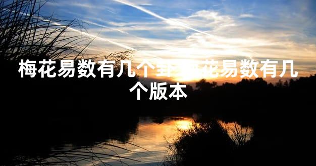 梅花易数有几个卦 梅花易数有几个版本